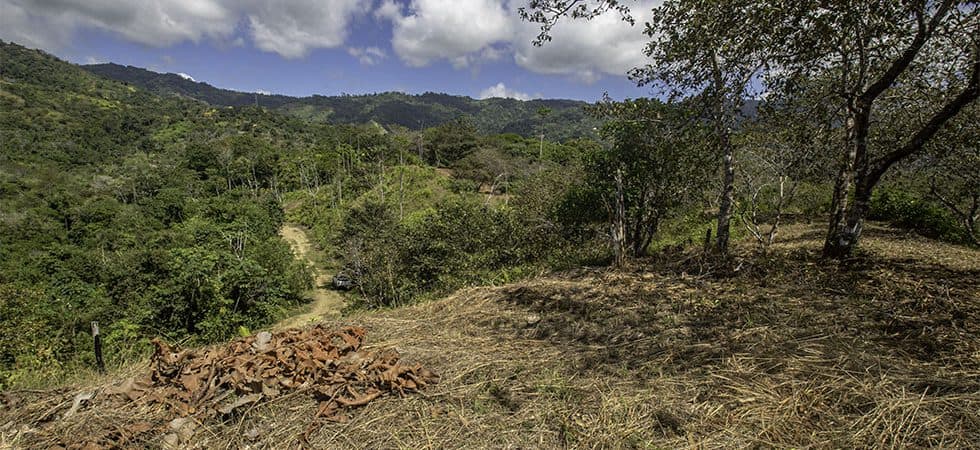 32 Acre property in Osa South of Ojochal photo 2