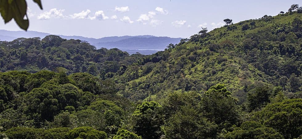 32 Acre property in Osa South of Ojochal photo 3