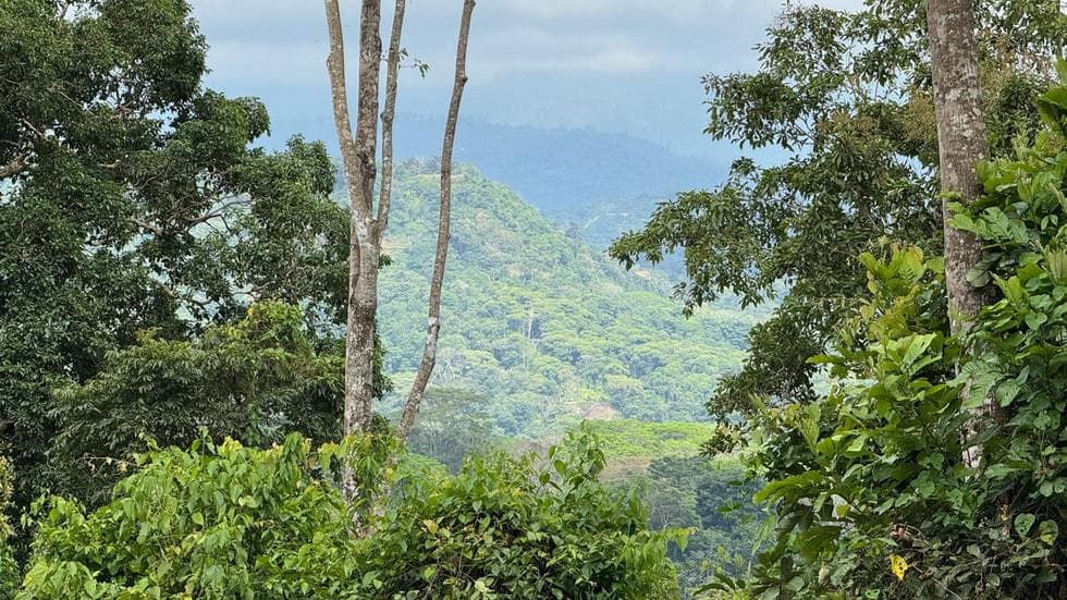 Affordable Home Building Site in Lagunas