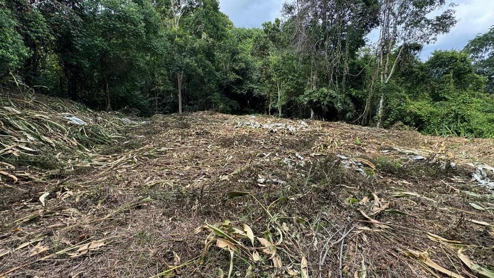 Affordable Home Building Site in Lagunas property photo 5 in Costa Rica