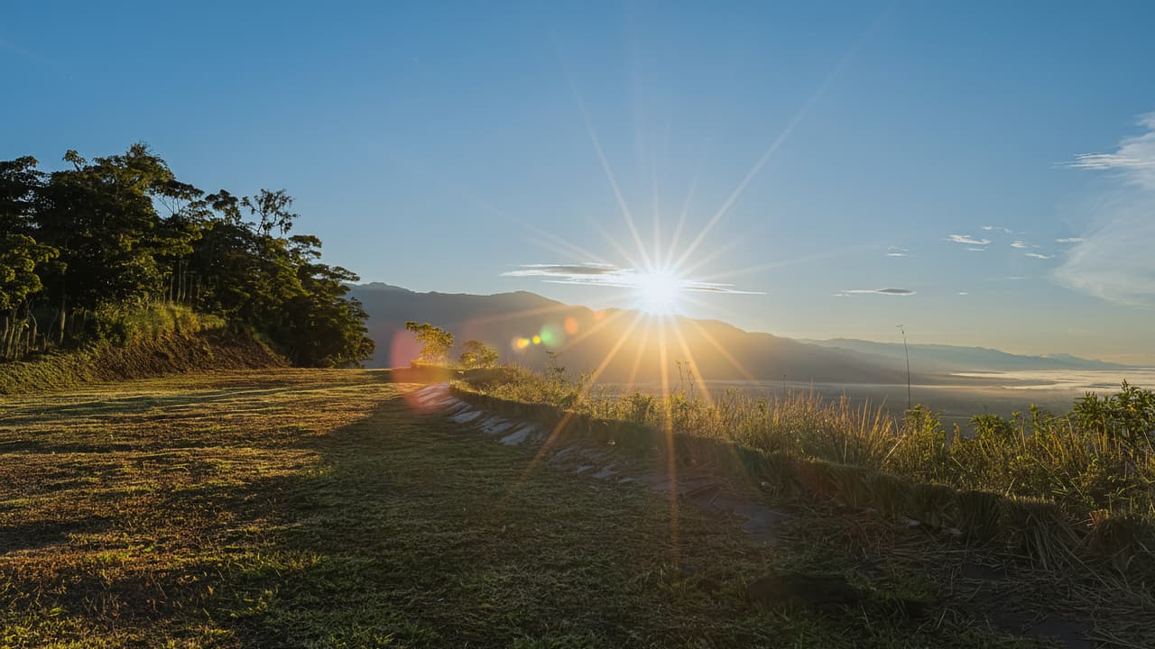 12 Acre Fruit Farm with Deep Water Well in San Isidro