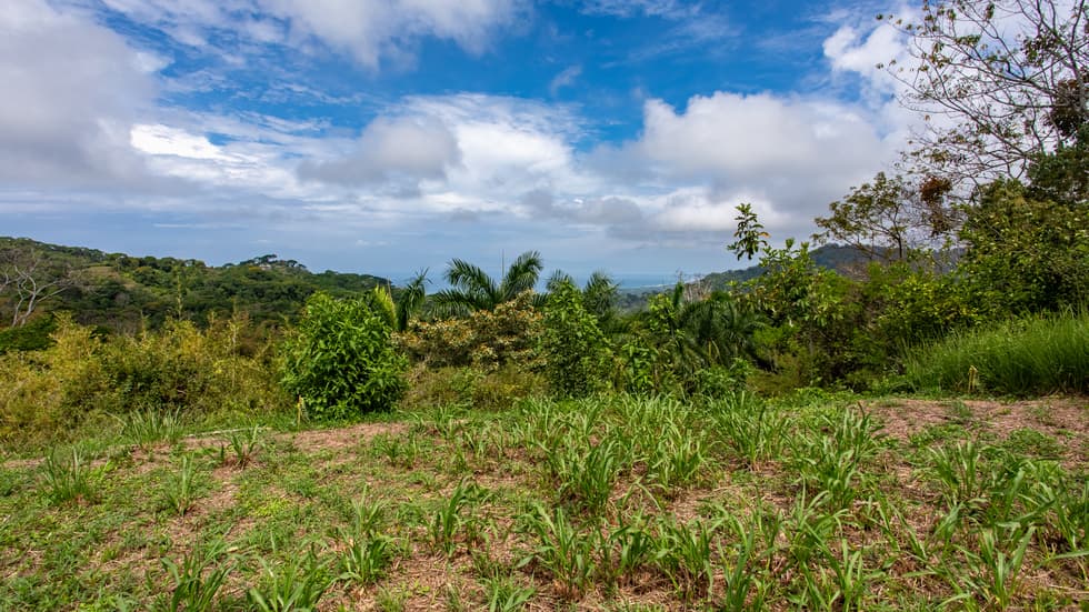 Stunning 3.6 Acre Ocean View Property in Dominical Costa Rica photo 4