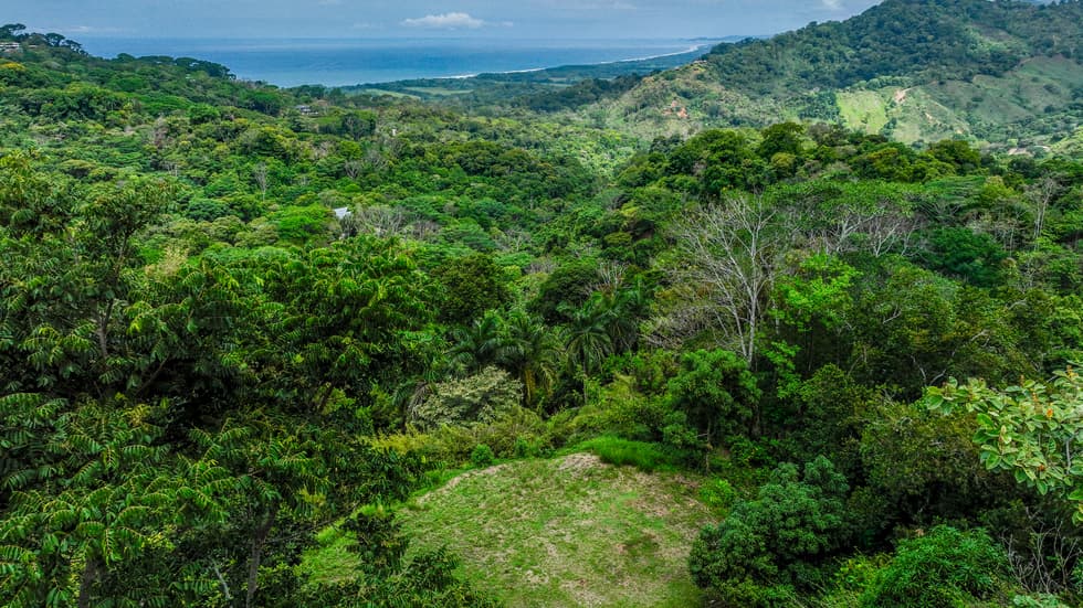 Stunning 3.6 Acre Ocean View Property in Dominical Costa Rica photo 1