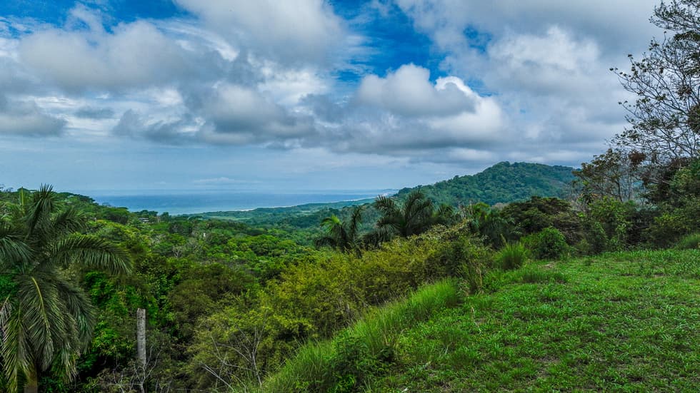 Stunning 3.6 Acre Ocean View Property in Dominical Costa Rica photo 3