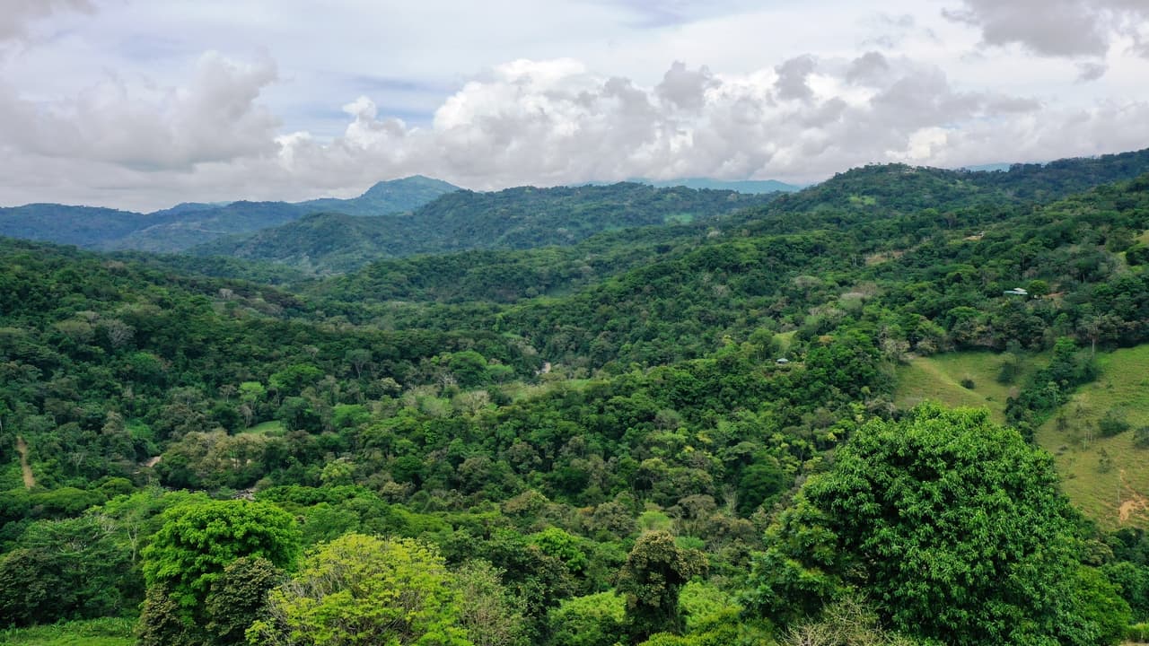 Dominical Mountain Farming Property photo 4