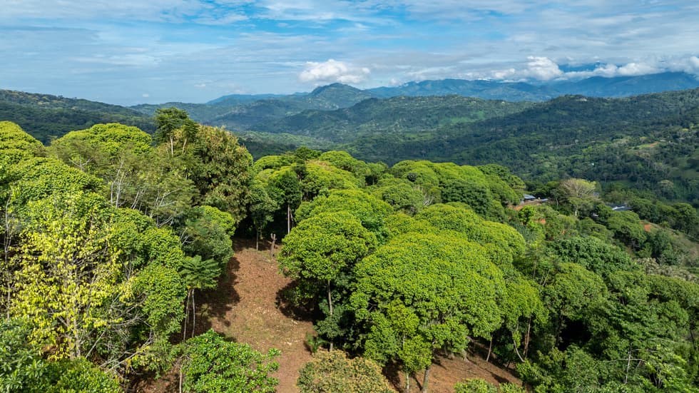 2.9 Acre Paradise with Diamante Valley Views Dominical