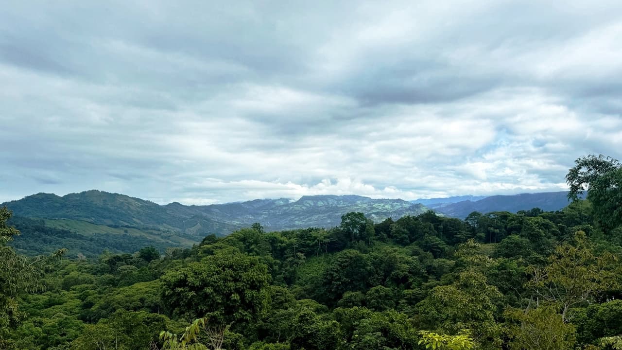 Prime 2 Acre Ocean View Lot in Platanillo Ready to Build property photo 4 in Costa Rica