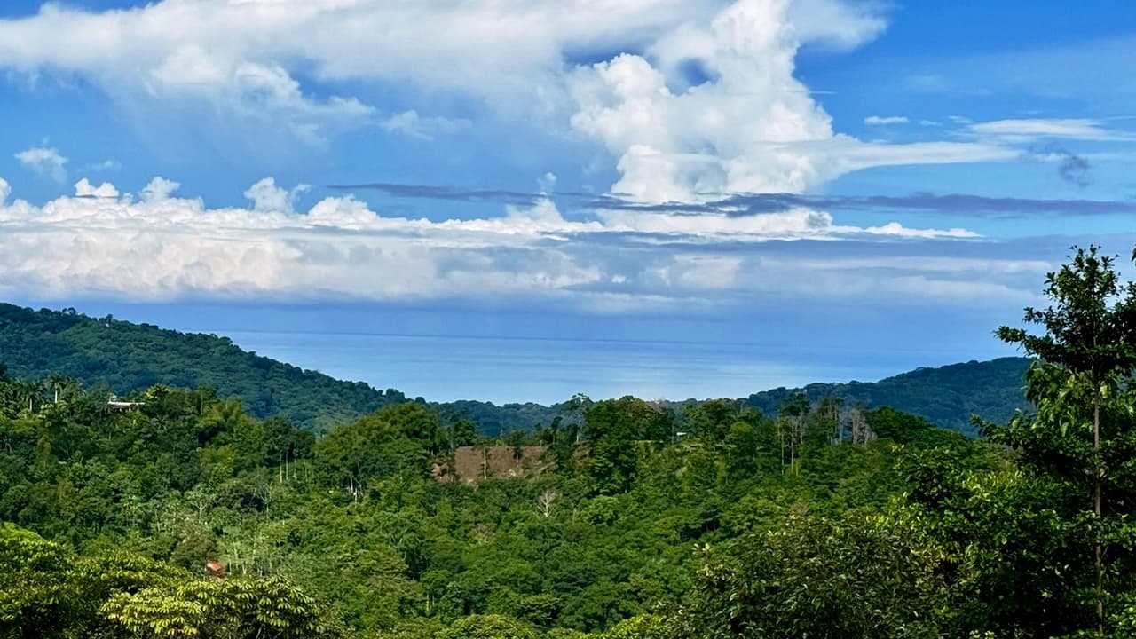 Prime 2 Acre Ocean View Lot in Platanillo Ready to Build