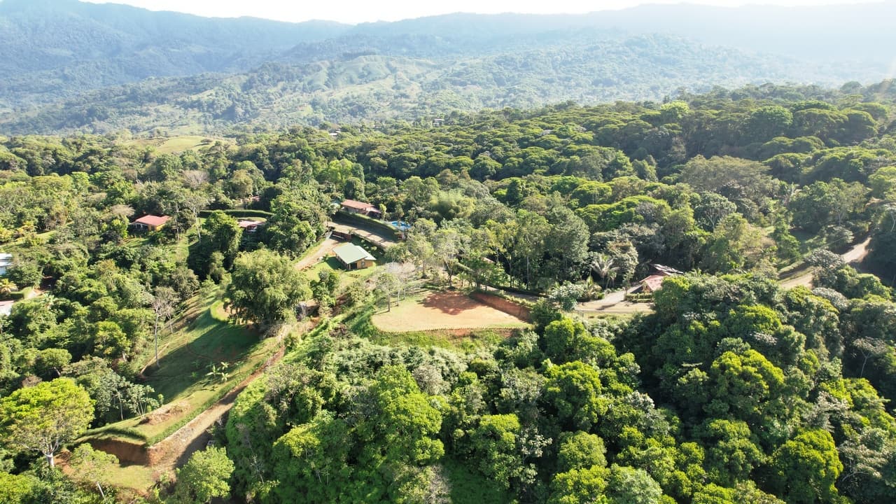 Prime 2 Acre Ocean View Lot in Platanillo Ready to Build photo 5