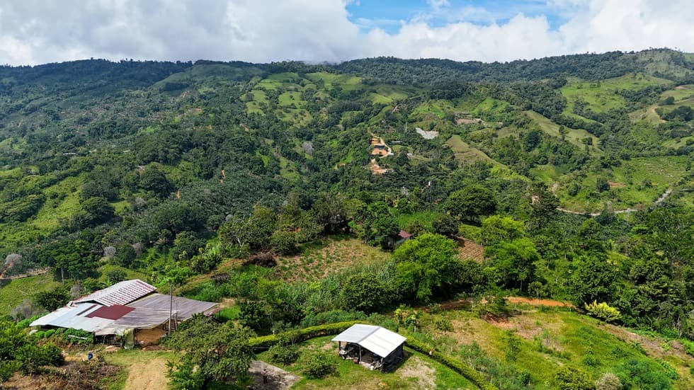 Scenic Mountain Lot in San Gerardo de Platanares photo 3