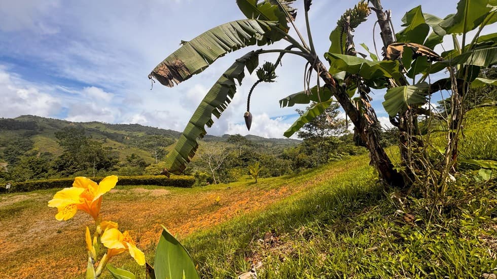 Scenic Mountain Lot in San Gerardo de Platanares photo 2