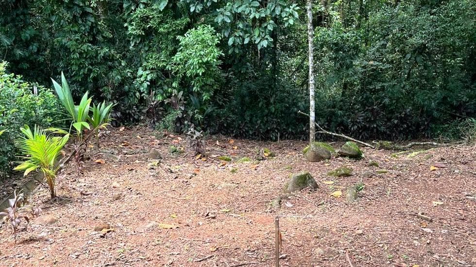 Turnkey Home Site with Jungle Setting in Downtown Uvita photo 3