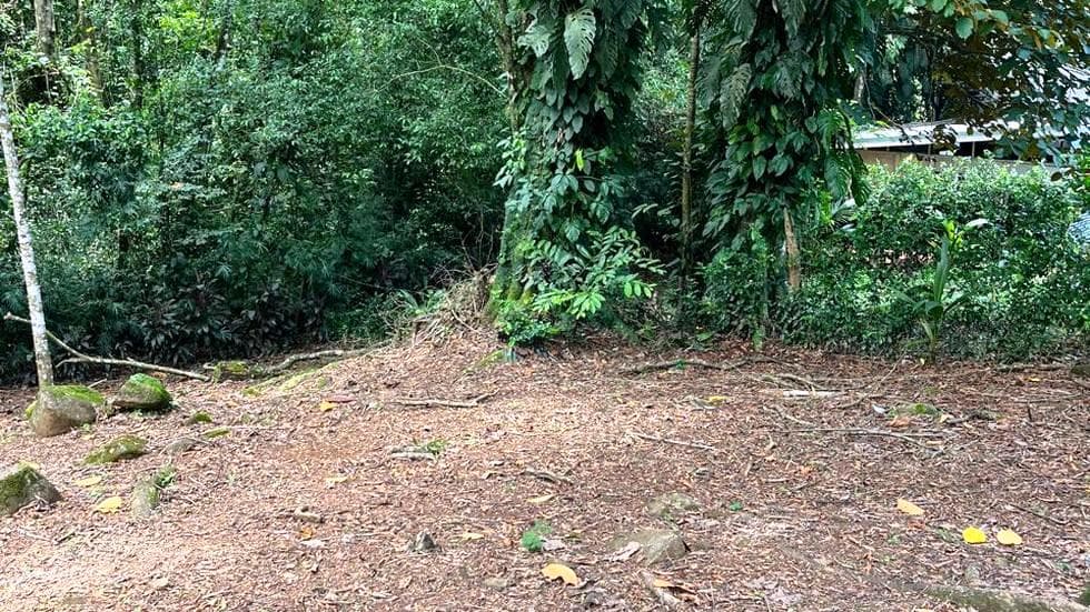 Turnkey Home Site with Jungle Setting in Downtown Uvita photo 4