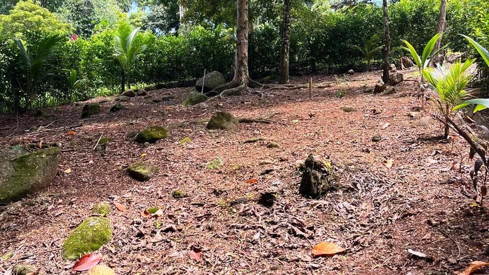 Turnkey Home Site with Jungle Setting in Downtown Uvita photo 5