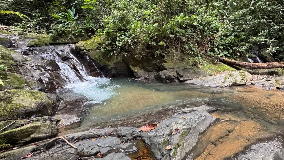 23.5 Acre Waterfall & Riverfront Estate Bahia Ballena Osa Peninsula photo 4