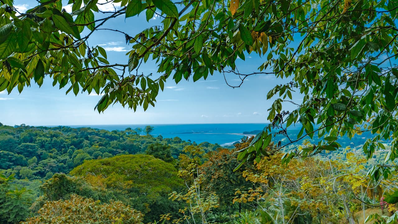 Ocean View Homesite in Uvita with the Best Views in Town photo 3