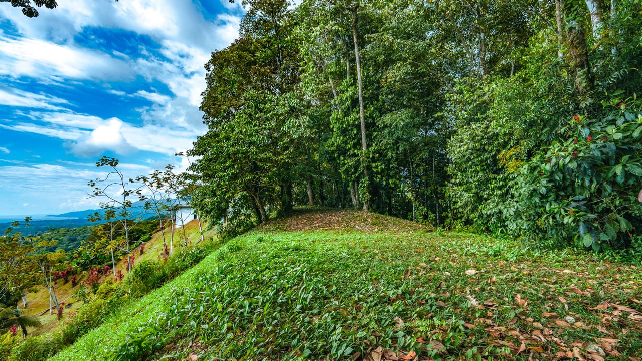 Ocean View Homesite in Uvita with the Best Views in Town photo 5