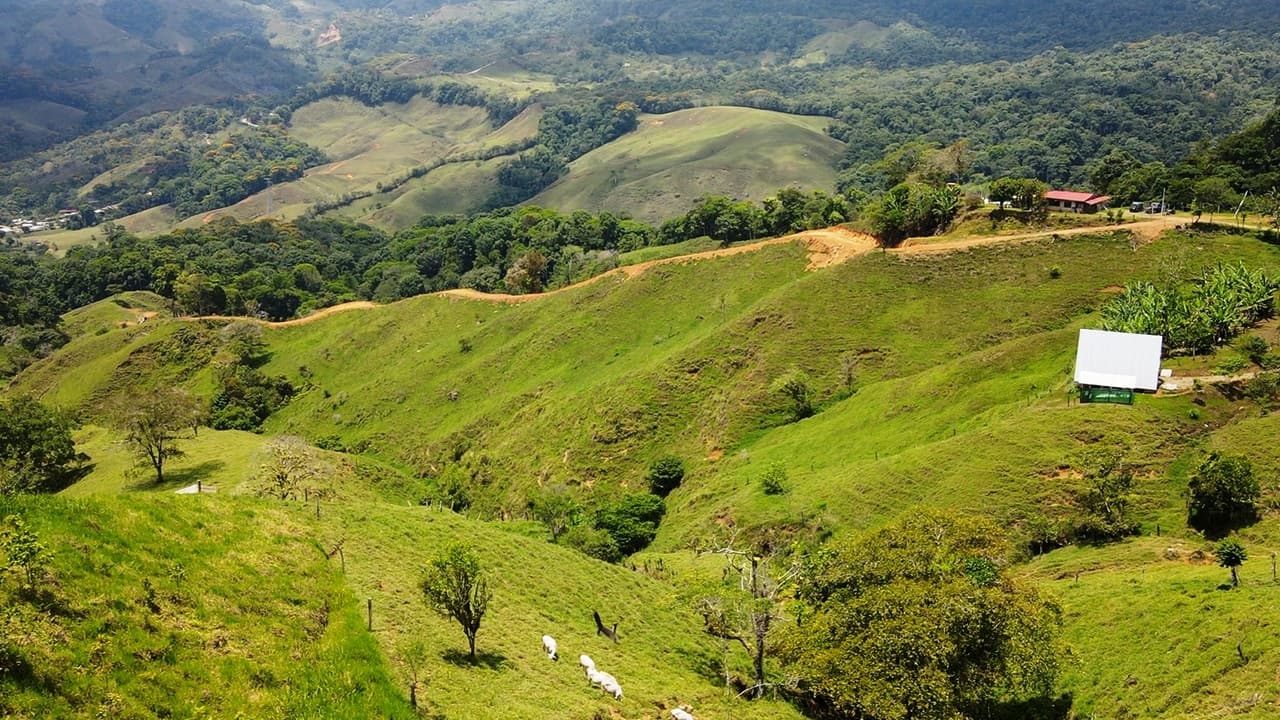 0.27 Acres Mountain View Commercial Property in Alto San Juan property photo 5 in Costa Rica