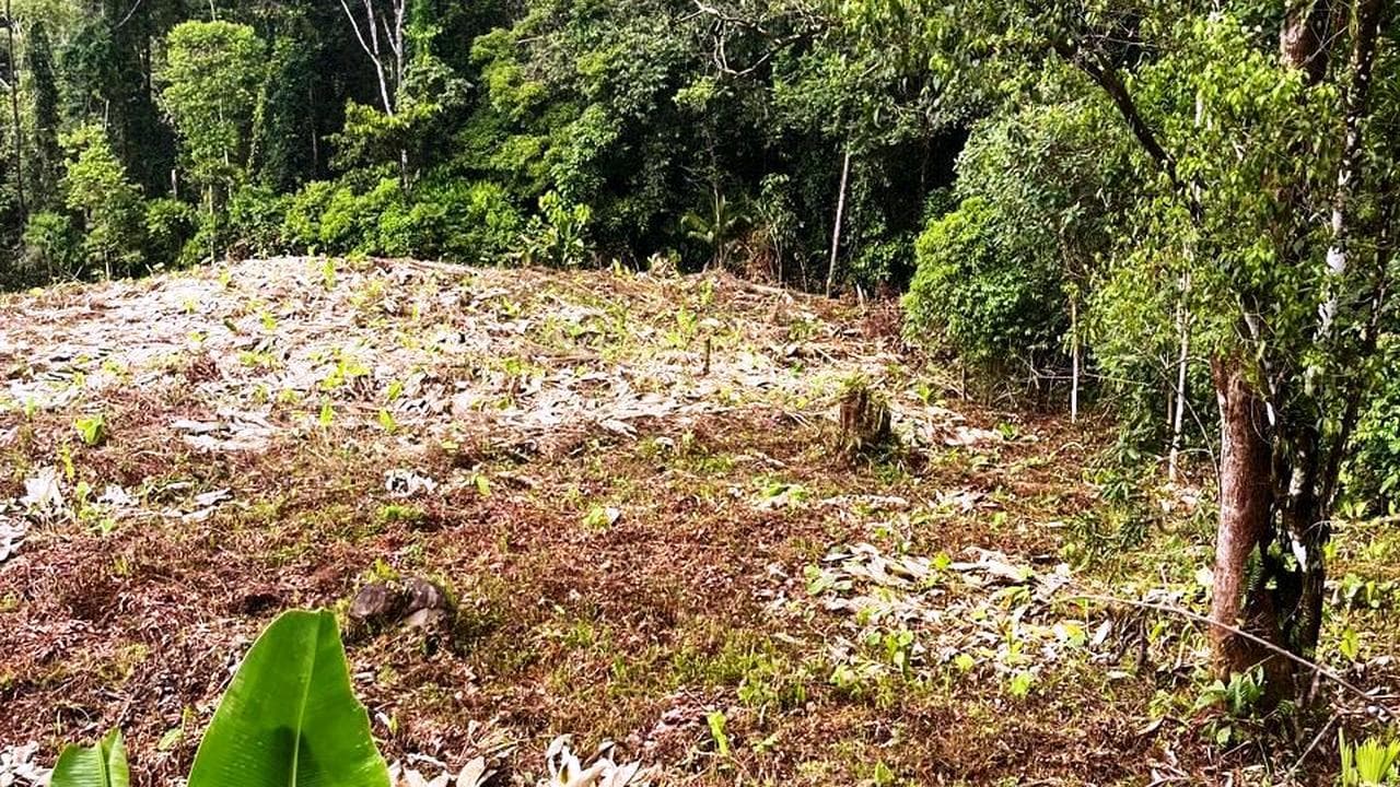 Affordable Build Ready Lot in Cinco Ventanas Ojochal photo 3