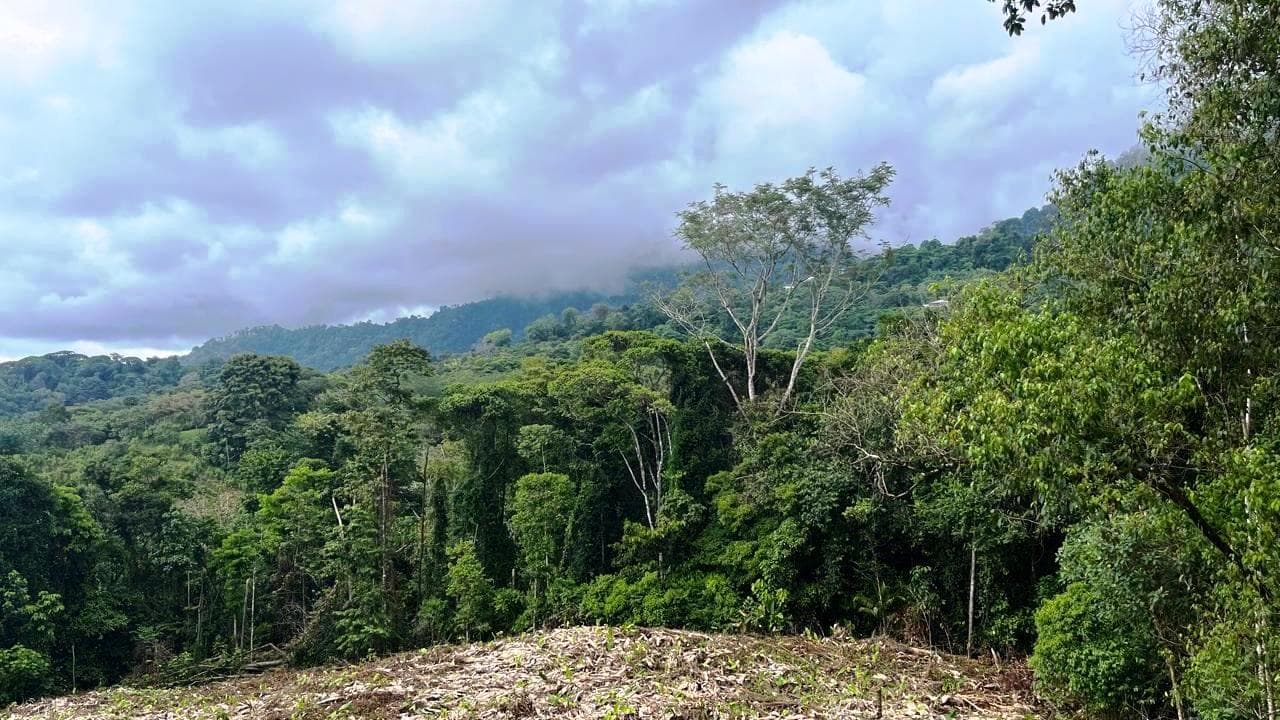 Affordable Build Ready Lot in Cinco Ventanas Ojochal photo 4