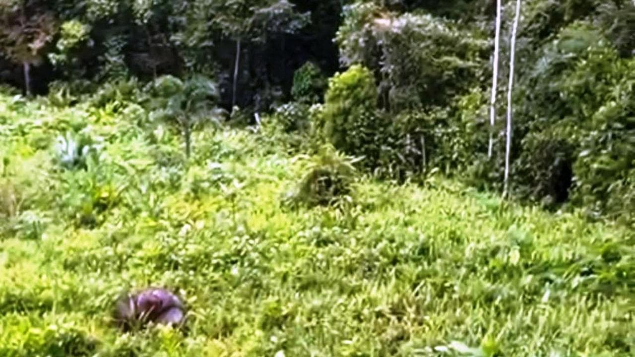 Affordable Build Ready Lot in Cinco Ventanas Ojochal property photo 5 in Costa Rica