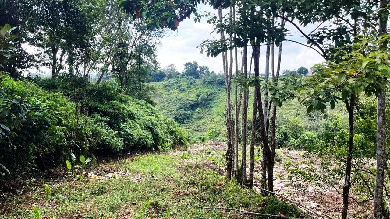 Affordable Build Ready Lot in Cinco Ventanas Ojochal photo 2