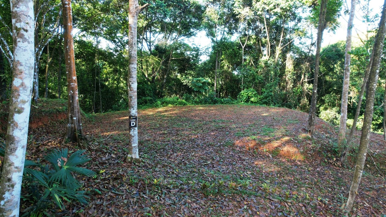 Private 4.25 Acre Jungle Lot in Platanillo Ready to Build property photo 2 in Costa Rica