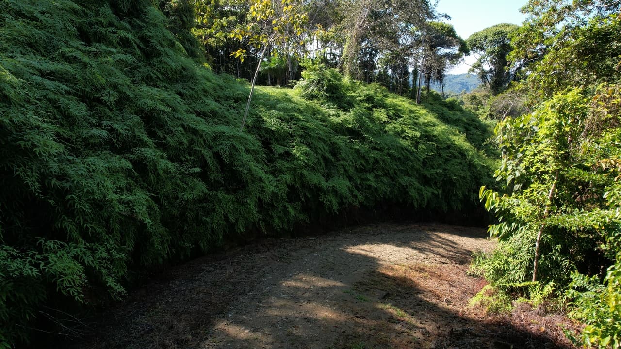 6 Acres 3 Building Sites Subdividable in Platanillo property photo 3 in Costa Rica