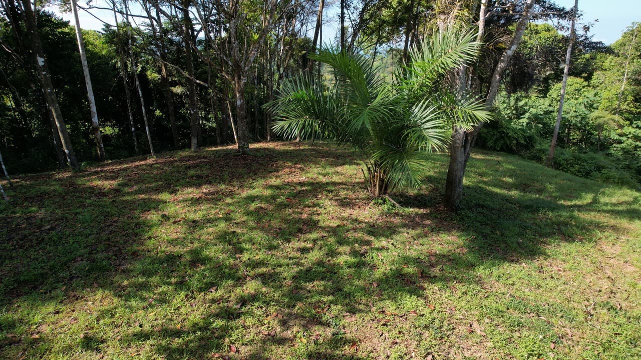6 Acres 3 Building Sites Subdividable in Platanillo property photo 5 in Costa Rica