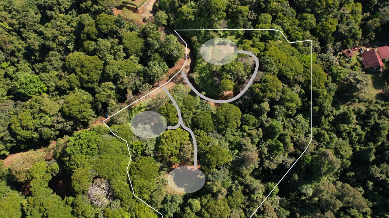 6 Acres 3 Building Sites Subdividable in Platanillo photo 1