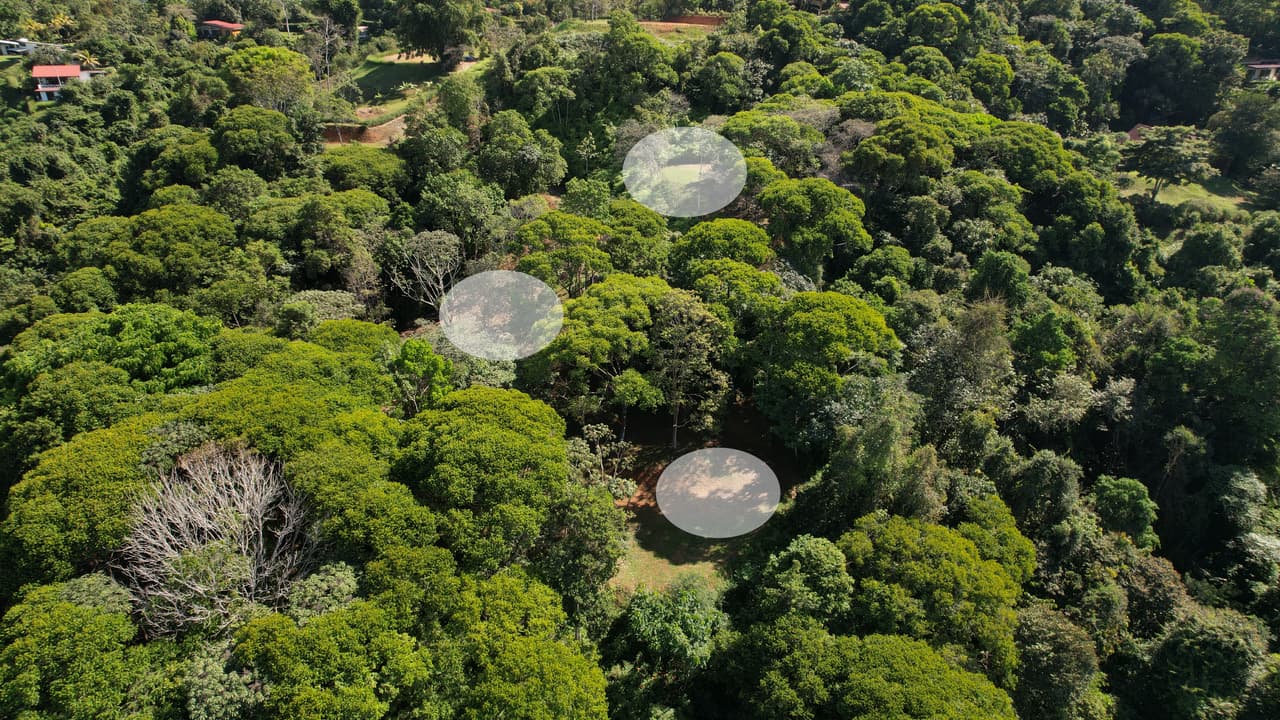 6 Acres 3 Building Sites Subdividable in Platanillo photo 4