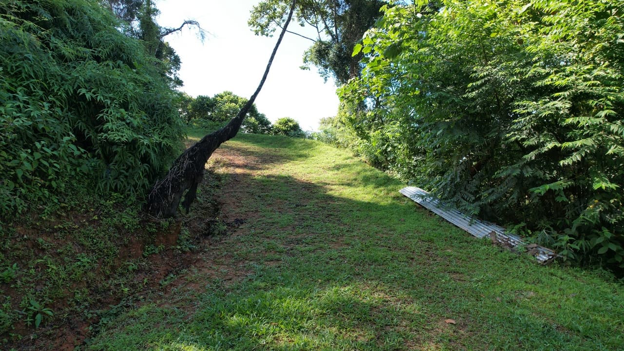 6 Acres 3 Building Sites Subdividable in Platanillo photo 2