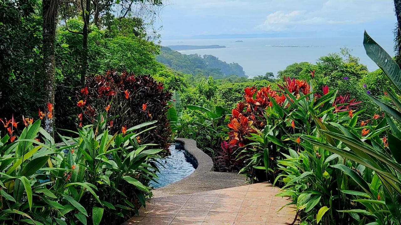 Whale’s Tail Ocean View Estate with Extra Lot in Uvita photo 2