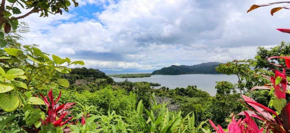 Unique Property Overlooking Pristine Golfito Bay and Golfo Dulce in Osa Peninsula, Puntarenas, Costa Rica