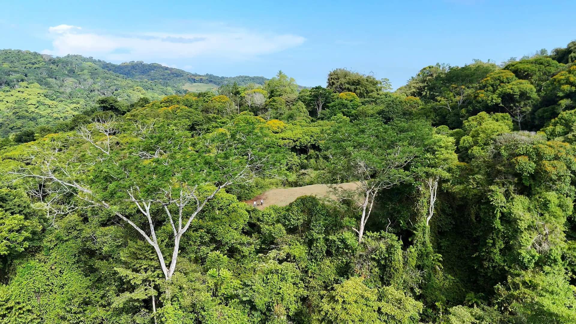 20.5 Acres: Land Investment Opportunity Near Dominical — San Salvador de Baru