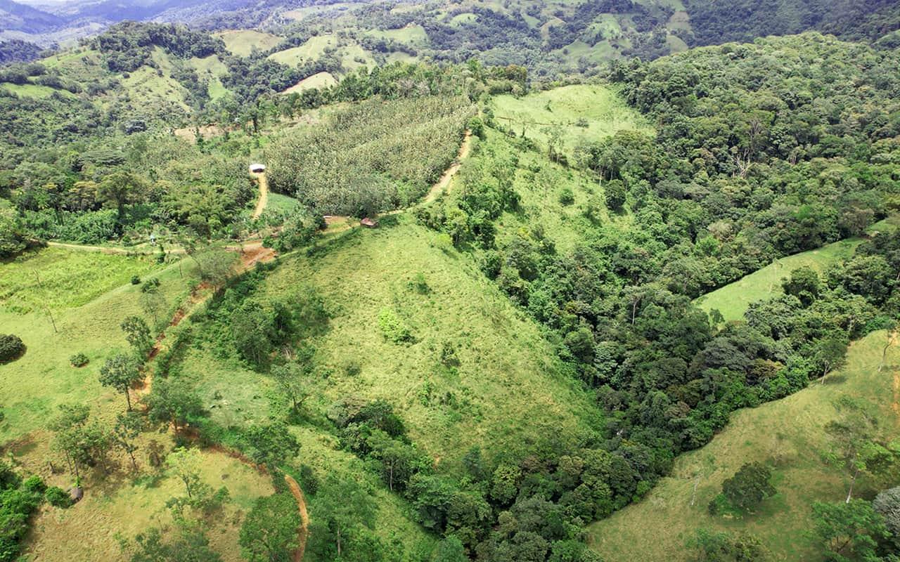 Finca Los Toritos: 1-Hectare Parcels With Waterfalls & Shared Jungle Sanctuary
