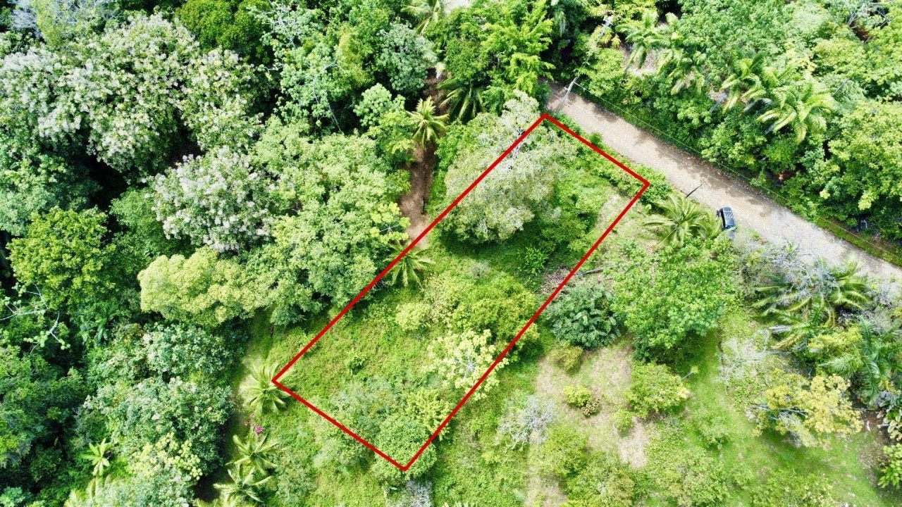 0.25 Acre Flat Affordable Lot in Escaleras with Road, ASADA Water, Power, and Internet property photo 2 in Costa Rica