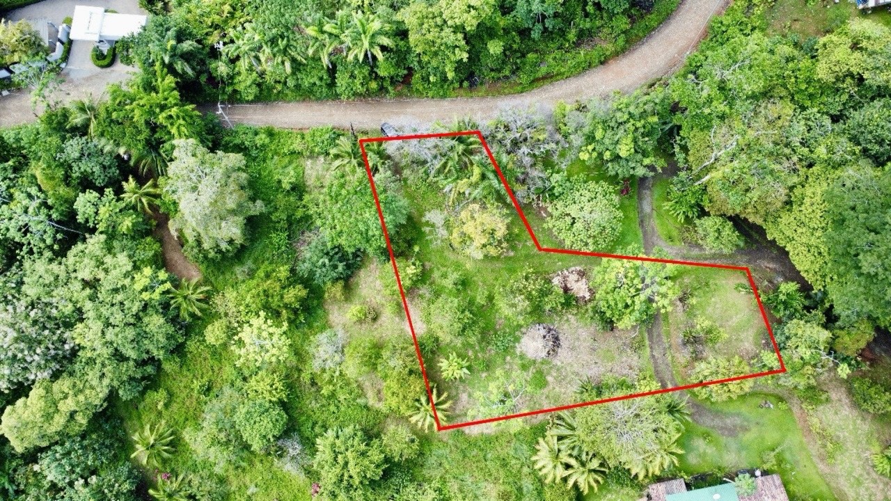 0.38 ACRES Ocean View Property In Escaleras With Multiple Building Sites, Great Access, Power, ASADA Water, Internet! property photo 2 in Costa Rica