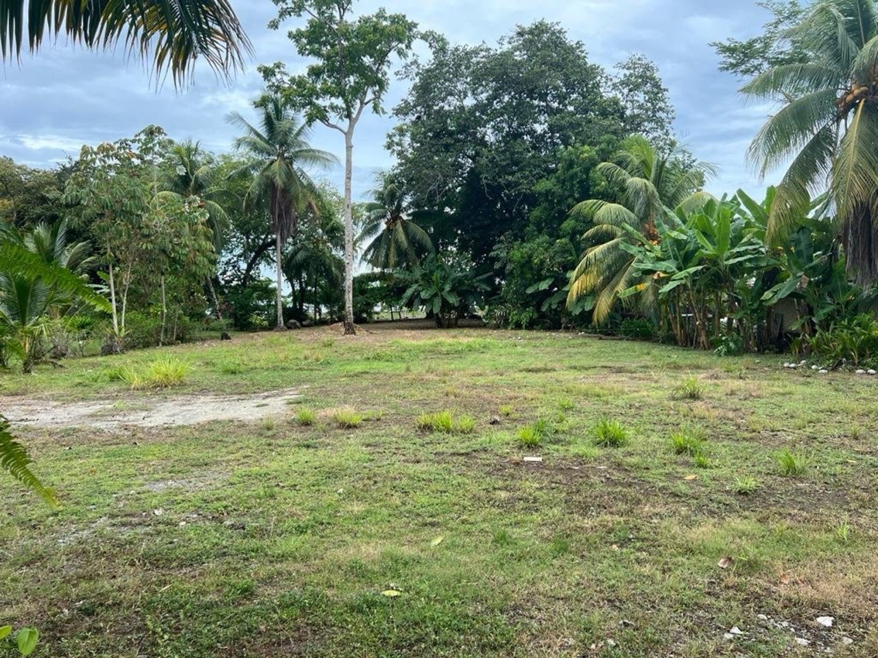 0.5 ACRES Beach and Highway Frontage Property, Perfect For Commercial or Residential Use! in Ojochal, Puntarenas, Costa Rica