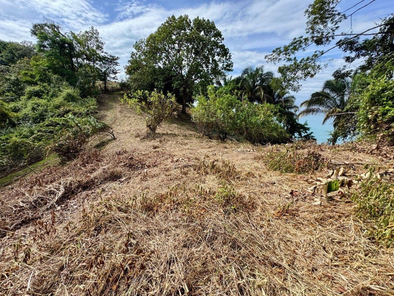 1.3 ACRES Unbelievable Ocean View Property 5 Min From The Beach! property photo 3 in Costa Rica