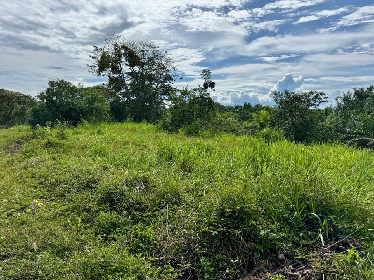 1.45 ACRES Ocean View Property With Creek And Public Road Frontage, 12 Min To Beach And Surf! property photo 3 in Costa Rica