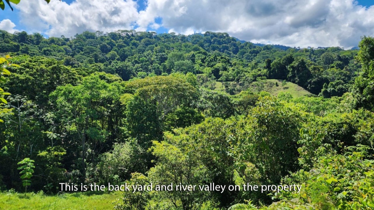 10 ACRES Rare Ocean View Development Or Estate Property In Uvita – With Waterfall! property photo 3 in Costa Rica