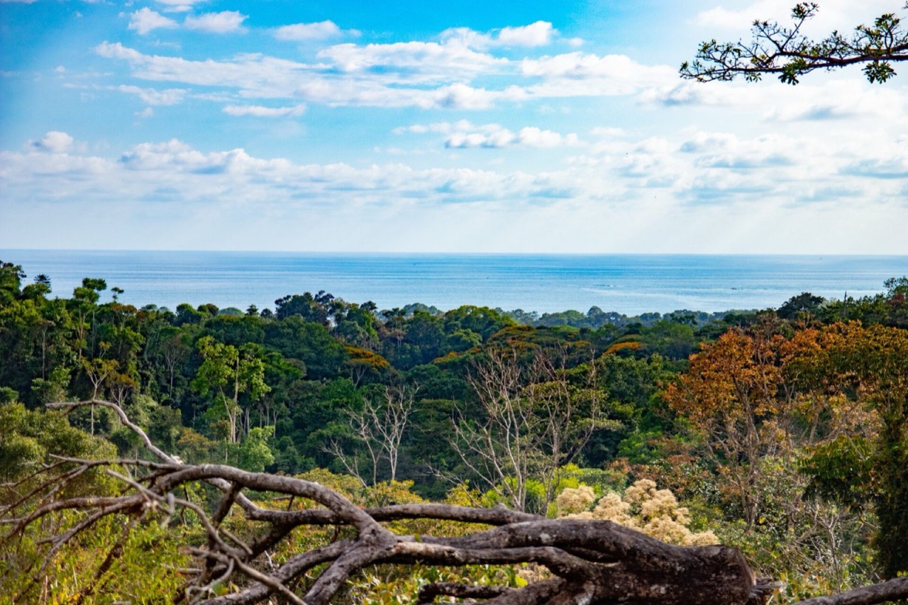 10 ACRES Rare Ocean View Development Or Estate Property In Uvita – With Waterfall! property photo 5 in Costa Rica