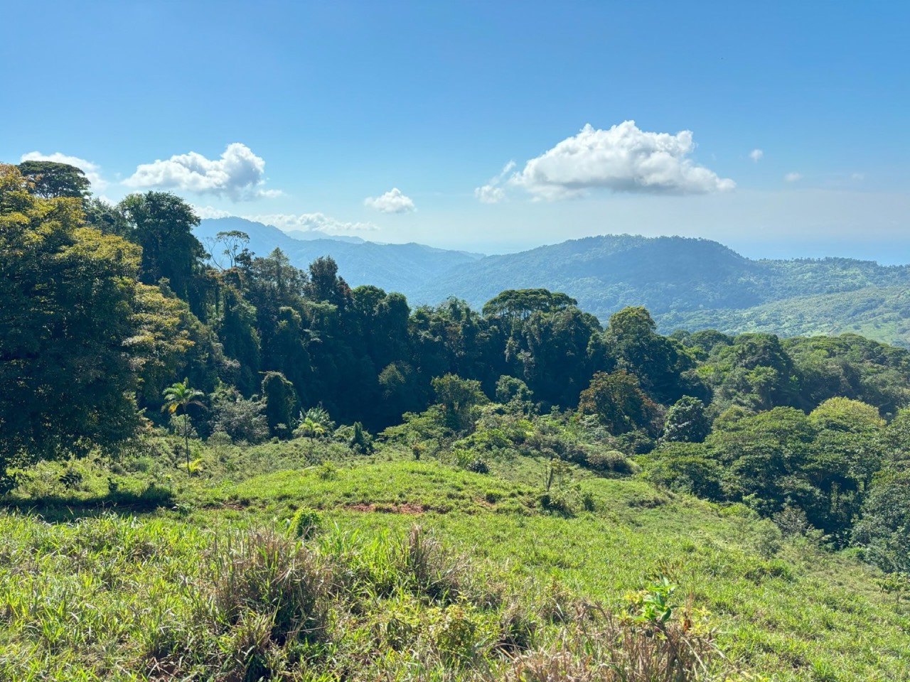 110.17 ACRES Mountain Estate With Ocean & Sunset View With Freshwater Streams And Natural Waterfalls! property photo 3 in Costa Rica
