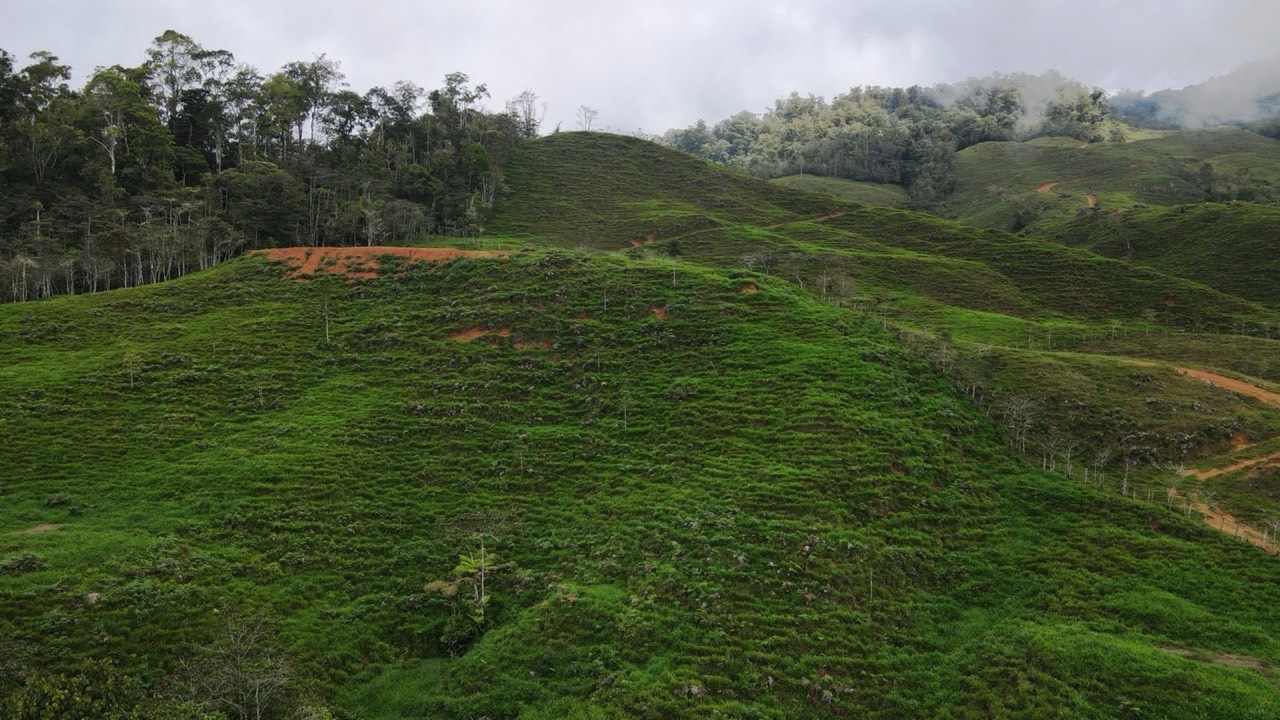 148 Acres of Mountain Serenity in Valencia property photo 4 in Costa Rica