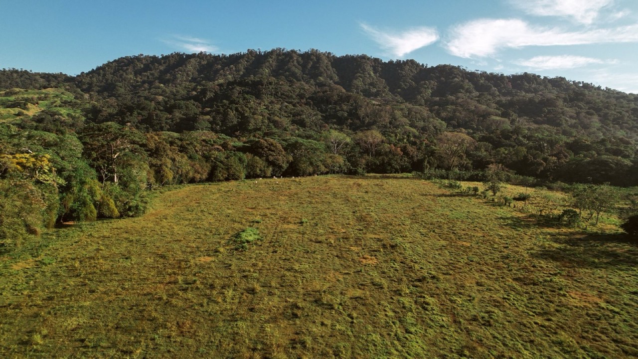 16.6 ACRES Prime Land For Commercial Development Opportunity With Highway Frontage! property photo 5 in Costa Rica