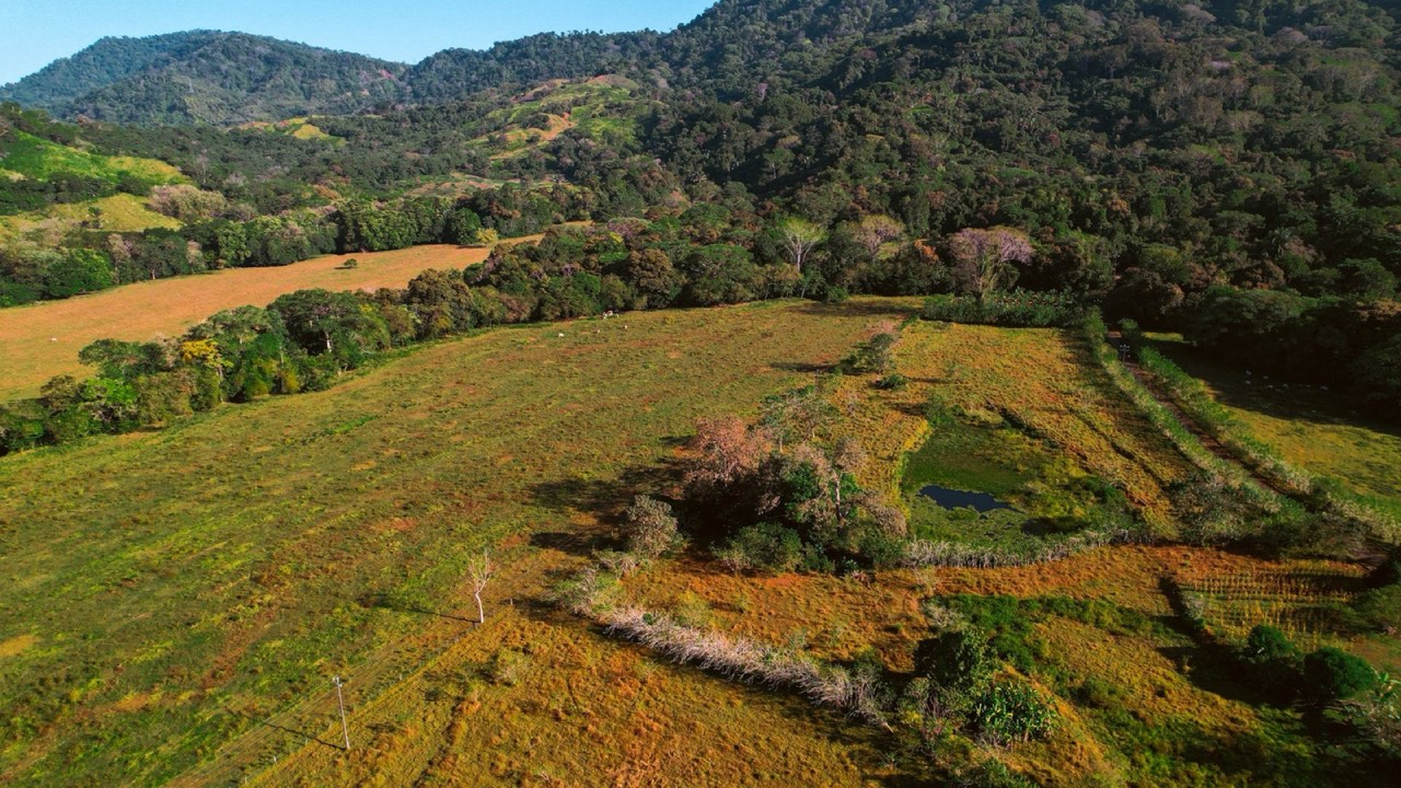 16.6 ACRES Prime Land For Commercial Development Opportunity With Highway Frontage! in Savegre, Puntarenas, Costa Rica