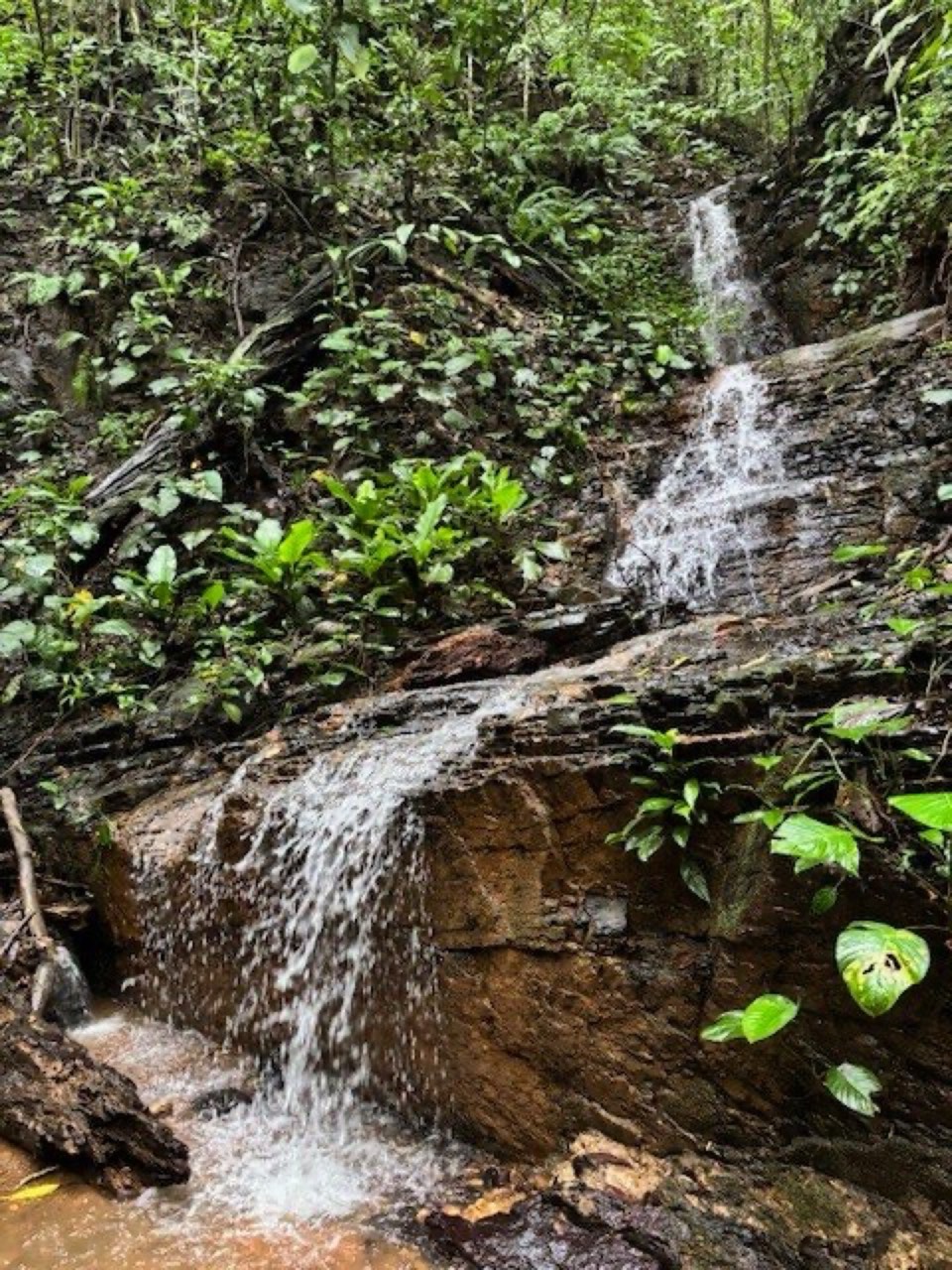 17.85 ACRES Stunning Large Land With 2 Waterfalls Near Dominical Beach! property photo 3 in Costa Rica