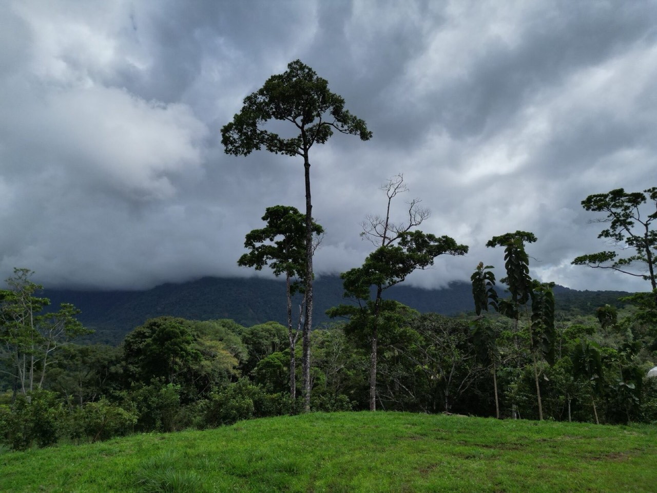 2.4 ACRES Lot With Waterfall Views And Incredible Mountain Views In A Unique, Nature-Connected Community! property photo 4 in Costa Rica