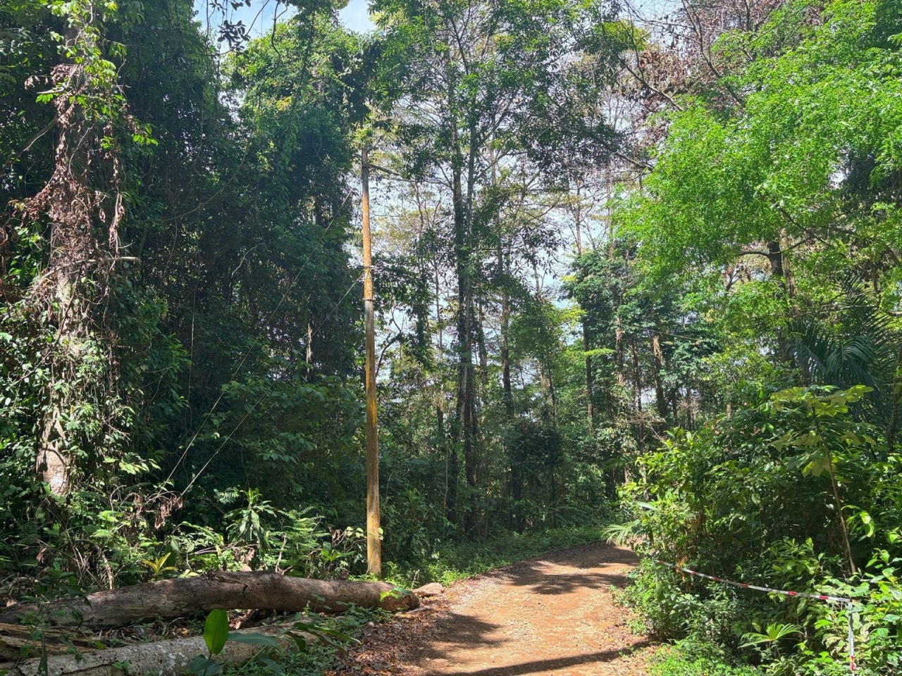2.4 ACRES Mountain And Valley View Land With Plenty Of Space to Build And Easy Access! property photo 2 in Costa Rica